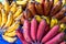 Red and yellow tropical banana branch closeup photo. Simple tropical fruit on market stall