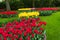 Red and Yellow tulip circles in the Keukenhof in 2022 in the Netherlands