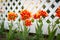 Red and yellow tulips against a white plastic fence in a garden of a private house to illustrate an article about gardening,
