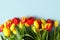 Red Yellow tulips flowers on blue background. Waiting for spring, seasonal holiday. Happy Easter card, 8 march Woman International