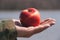 Red young juicy solid fruit apple under sunlight on a mens old hand of an elderly man, against background a lake water.