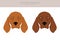 Redbone coonhound clipart. Different poses, coat colors set
