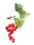 Redcurrant berries watercolor image