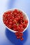 Redcurrants in a Bowl