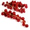 Redcurrants, ribes rubrum, Fruits against White Background