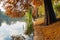 Reddish leaf tree near the lake.Willow reflected in the water in