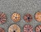 Reddish sea urchin shells on wet sand top view close up