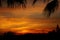 Reddish sunset sky with black silhouettes of tropical plants.