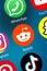 Reddit logo social media icon marketing network on the internet background portrait format