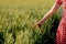 Redhead girl in red dots dress goes through wheat field and caresses wheat