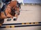 A redhead horse jumps a high yellow-black barrier