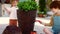 Redhead kids are painting garden pots together with little sister, renewing decor for a new season, having fun with house chores