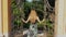 Redhead woman with a long is waking and opening the gate in a park.