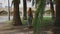 Redhead woman with a long is walking in park with palm trees with green leaves.