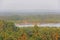 Redi Fort. View from the fort to the river, dock, palm groves pl