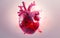 A redrawn realistic human heart, Generative AI