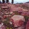 Redrock above Cecret Lake in Albion Basin, Wasatch Range, Utah