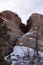 Redrock Formation with Snow and Pine Trees Moab Utah