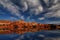 Redrock Reflections