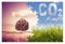 Reduction of CO2 presence in the atmosphere - jigsaw puzzle concept image against a green wild grass with an isolated tree in a