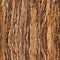 Redwood Bark for background