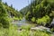 Redwood Creek, Highway 180, Kings Canyon National Park, Californ