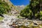 Redwood Creek, Highway 180, Kings Canyon National Park, Californ