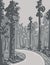 Redwood National and State Park in Northern California Monoline Line Art Grayscale Drawing