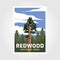 Redwoods National park in California poster illustration design