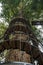 Redwoods Treewalk in Whakarewarewa Forest in New Zealand