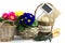 Reed baskets, garden utensils and primroses
