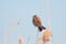 Reed bunting