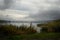 Reed and cattail on lake shore, cloudy weather