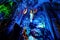 Reed Flute Caves in Guilin