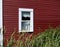 Reed grass and rose hip against red wall with double hung window