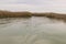 Reed grows on the shore of the lake. Trail on the water from the boat