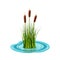 Reed high in the grass grows from the water. Vector illustration of pond plants.