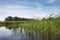 The Reed Lands near the village Dwarsgracht.