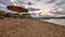 Reed parasols on empty beach