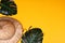 Reed safari hat and green leaves on yellow background with space for text