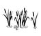 Reed silhouette set. Vector illustration isolated on white. Plants on swamp and wetland.