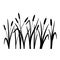 Reed silhouette set. Vector illustration isolated on white. Plants on swamp and wetland.