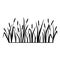 Reed silhouette. Vector illustration isolated on white. Plants on swamp and wetland.