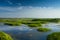 Reed wetland sunny china