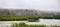 Reeds fields and a house on Comana delta