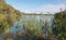 Reeds: Herdsman Lake