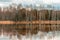 reeds on the lake, seascape fishing