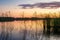 Reeds plants on the shores of the calm Saimaa lake in Finland under a nordic sky on fire  - 1