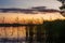 Reeds plants on the shores of the calm Saimaa lake in Finland under a nordic sky on fire  - 2