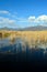 Reeds reflected in a blue lake